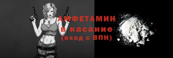 дживик Белокуриха