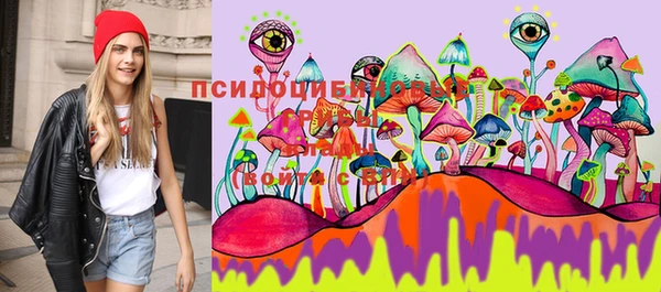 не бодяженный Пересвет