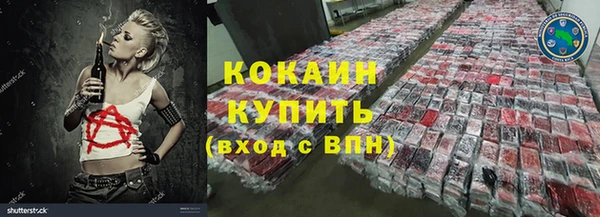 дживик Белокуриха