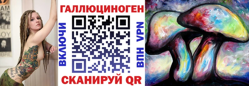 дарнет шоп  Светлогорск  Псилоцибиновые грибы Magic Shrooms 